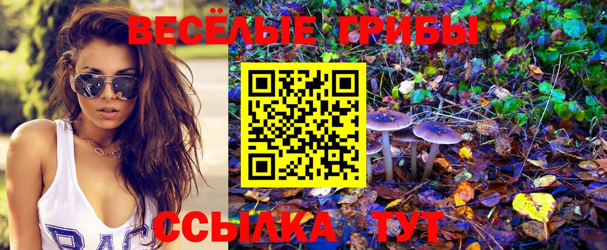Галлюциногенные грибы GOLDEN TEACHER Дедовск