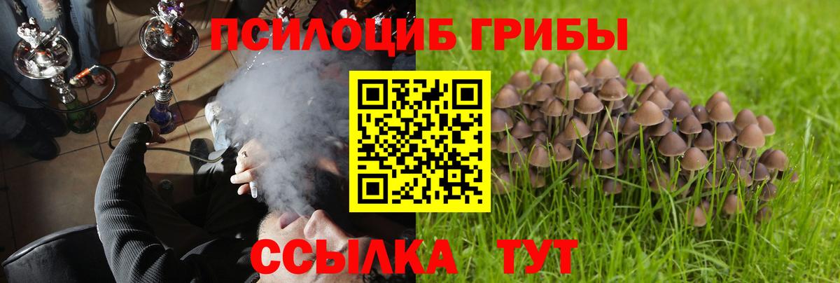 Дедовск  Галлюциногенные грибы мицелий  Галлюциногенные грибы Cubensis  где можно купить   Вход с VPN 